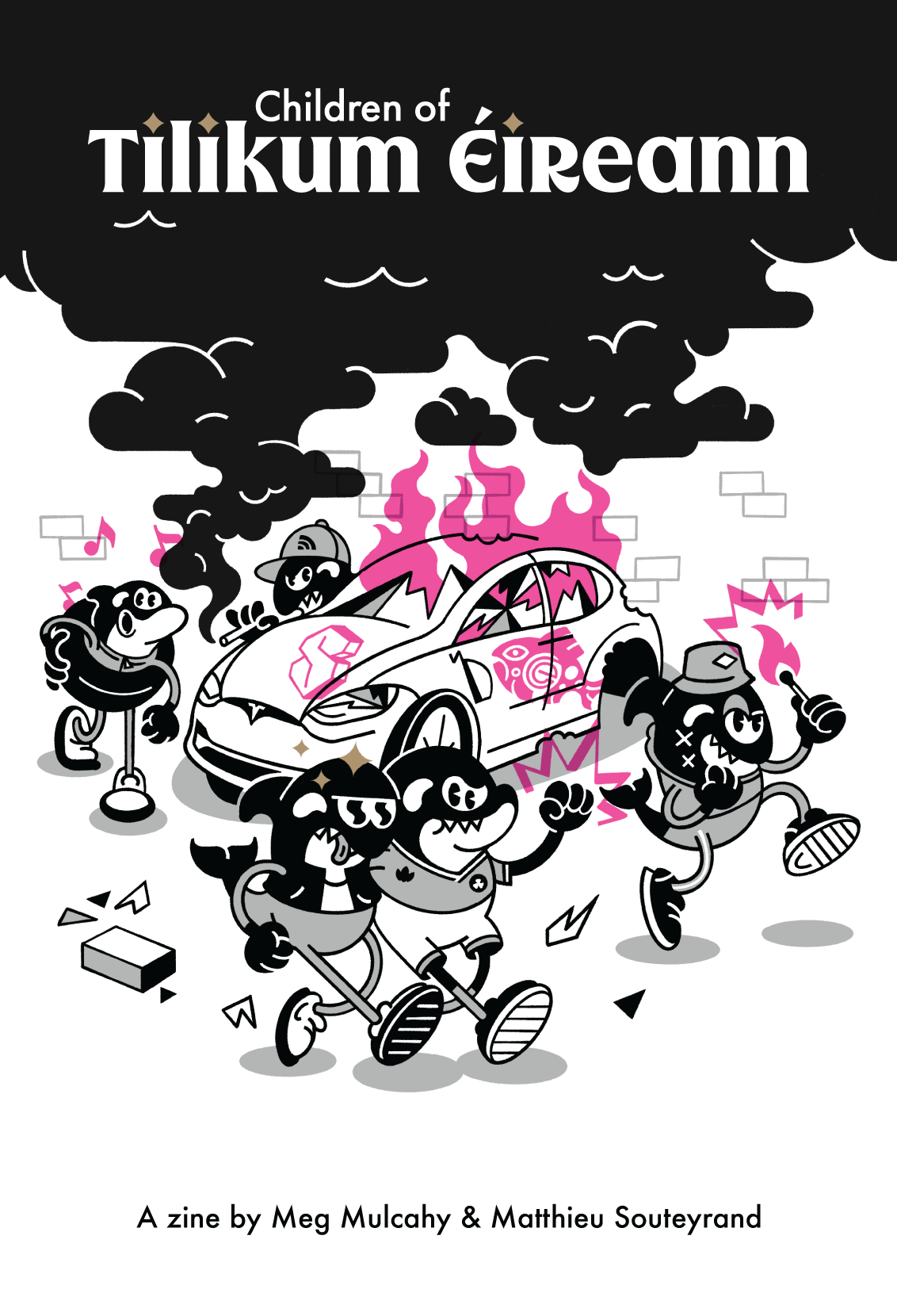 Housing crisis zine with orcas